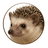 HEDGE